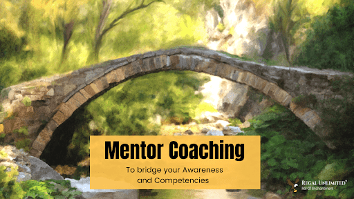 Mentor coaching to improve your awareness and competencies