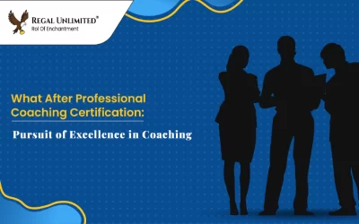 What After Professional Coaching Certification: Pursuit of Excellence in Coaching